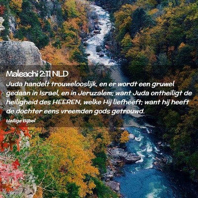 Picture 02 - Maleachi 2:11 NLD - Juda handelt trouwelooslijk, en er wordt een - Bible Verse Picture