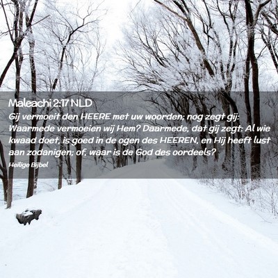Picture 02 - Maleachi 2:17 NLD - Gij vermoeit den HEERE met uw woorden; nog zegt - Bible Verse Picture