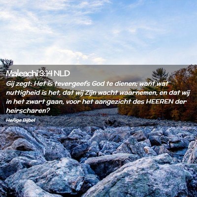 Picture 02 - Maleachi 3:14 NLD - Gij zegt: Het is tevergeefs God te dienen; want - Bible Verse Picture