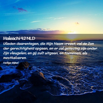 Picture 02 - Maleachi 4:2 NLD - Ulieden daarentegen, die Mijn Naam vreest, zal de - Bible Verse Picture