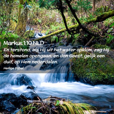 Picture 02 - Markus 1:10 NLD - En terstond, als Hij uit het water opklom, zag - Bible Verse Picture