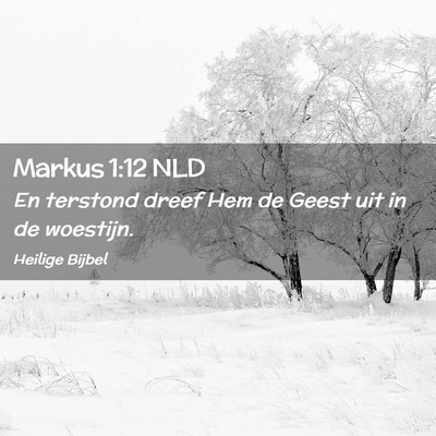 Picture 02 - Markus 1:12 NLD - En terstond dreef Hem de Geest uit in de - Bible Verse Picture