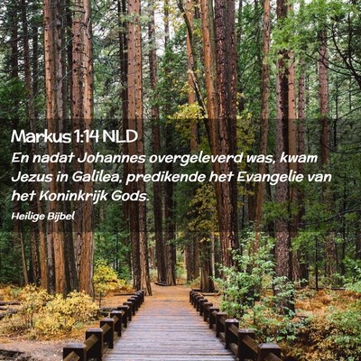Picture 02 - Markus 1:14 NLD - En nadat Johannes overgeleverd was, kwam Jezus in - Bible Verse Picture