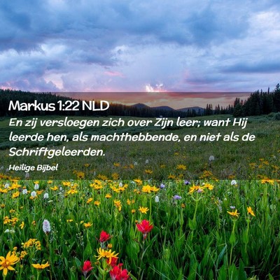 Picture 02 - Markus 1:22 NLD - En zij versloegen zich over Zijn leer; want Hij - Bible Verse Picture
