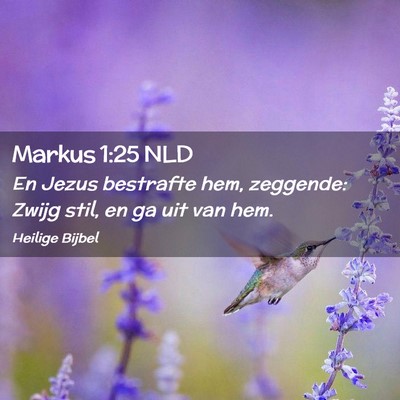 Picture 02 - Markus 1:25 NLD - En Jezus bestrafte hem, zeggende: Zwijg stil, en - Bible Verse Picture