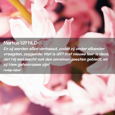 Picture 02 - Markus 1:27 NLD - En zij werden allen verbaasd, zodat zij onder - Bible Verse Picture