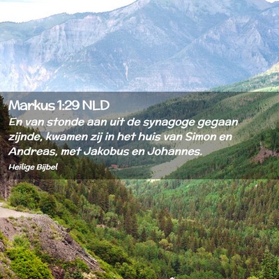 Picture 02 - Markus 1:29 NLD - En van stonde aan uit de synagoge gegaan zijnde, - Bible Verse Picture