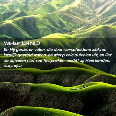 Picture 02 - Markus 1:34 NLD - En Hij genas er velen, die door verscheidene - Bible Verse Picture