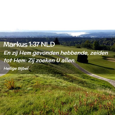 Picture 02 - Markus 1:37 NLD - En zij Hem gevonden hebbende, zeiden tot Hem: Zij - Bible Verse Picture