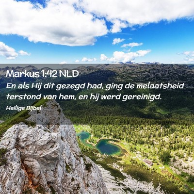 Picture 02 - Markus 1:42 NLD - En als Hij dit gezegd had, ging de melaatsheid - Bible Verse Picture