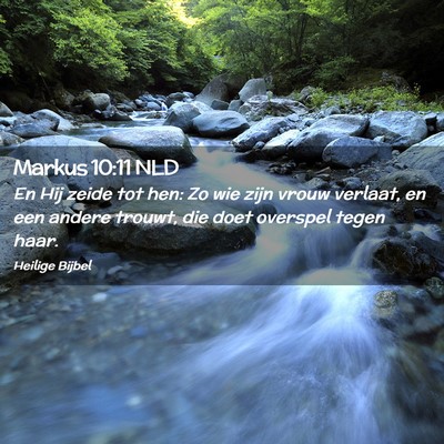 Picture 02 - Markus 10:11 NLD - En Hij zeide tot hen: Zo wie zijn vrouw verlaat, - Bible Verse Picture