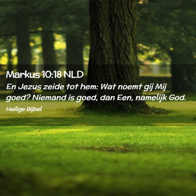 Picture 02 - Markus 10:18 NLD - En Jezus zeide tot hem: Wat noemt gij Mij goed? - Bible Verse Picture
