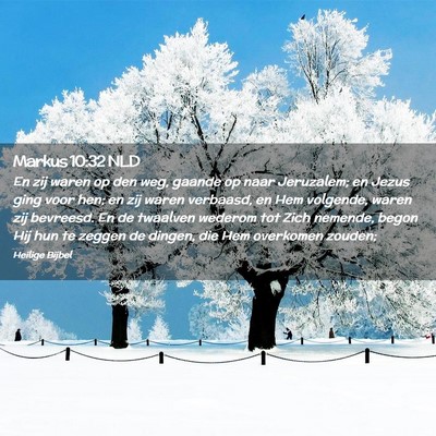 Picture 02 - Markus 10:32 NLD - En zij waren op den weg, gaande op naar - Bible Verse Picture
