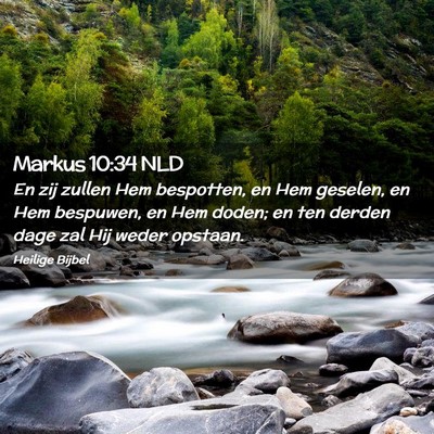Picture 02 - Markus 10:34 NLD - En zij zullen Hem bespotten, en Hem geselen, en - Bible Verse Picture