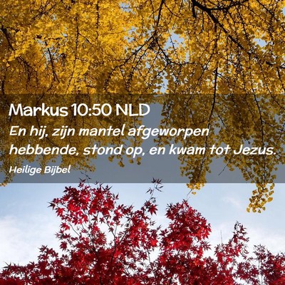 Picture 02 - Markus 10:50 NLD - En hij, zijn mantel afgeworpen hebbende, stond - Bible Verse Picture