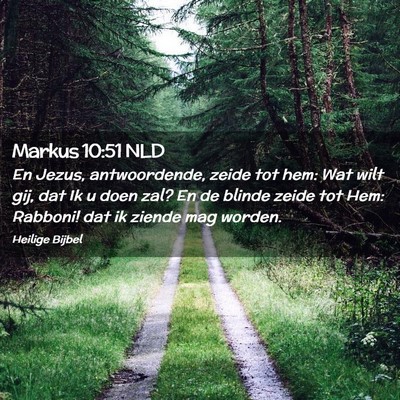 Picture 02 - Markus 10:51 NLD - En Jezus, antwoordende, zeide tot hem: Wat wilt - Bible Verse Picture