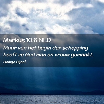 Picture 02 - Markus 10:6 NLD - Maar van het begin der schepping heeft ze God man - Bible Verse Picture