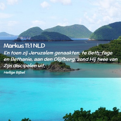 Picture 02 - Markus 11:1 NLD - En toen zij Jeruzalem genaakten, te Beth-fage en - Bible Verse Picture