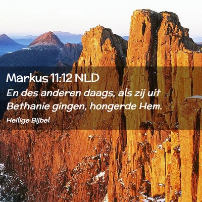 Picture 02 - Markus 11:12 NLD - En des anderen daags, als zij uit Bethanie - Bible Verse Picture