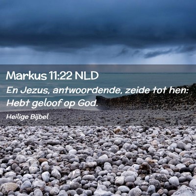 Picture 02 - Markus 11:22 NLD - En Jezus, antwoordende, zeide tot hen: Hebt - Bible Verse Picture
