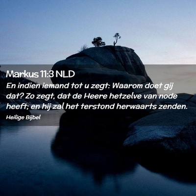 Picture 02 - Markus 11:3 NLD - En indien iemand tot u zegt: Waarom doet gij dat? - Bible Verse Picture
