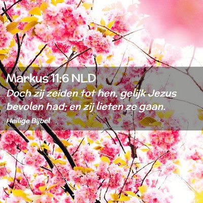 Picture 02 - Markus 11:6 NLD - Doch zij zeiden tot hen, gelijk Jezus bevolen - Bible Verse Picture