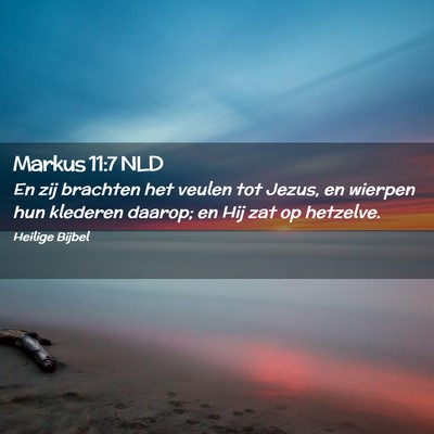 Picture 02 - Markus 11:7 NLD - En zij brachten het veulen tot Jezus, en wierpen - Bible Verse Picture