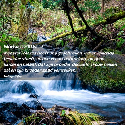 Picture 02 - Markus 12:19 NLD - Meester! Mozes heeft ons geschreven: Indien - Bible Verse Picture