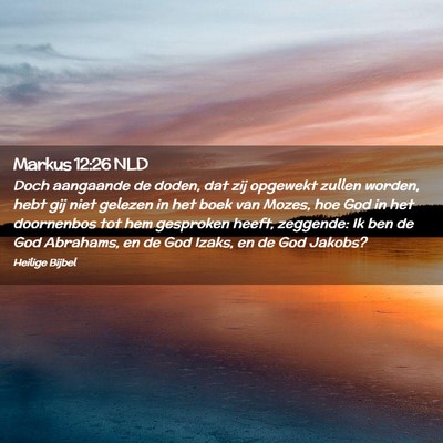 Picture 02 - Markus 12:26 NLD - Doch aangaande de doden, dat zij opgewekt zullen - Bible Verse Picture