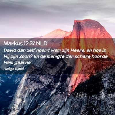 Picture 02 - Markus 12:37 NLD - David dan zelf noemt Hem zijn Heere, en hoe is - Bible Verse Picture