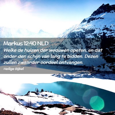Picture 02 - Markus 12:40 NLD - Welke de huizen der weduwen opeten, en dat onder - Bible Verse Picture