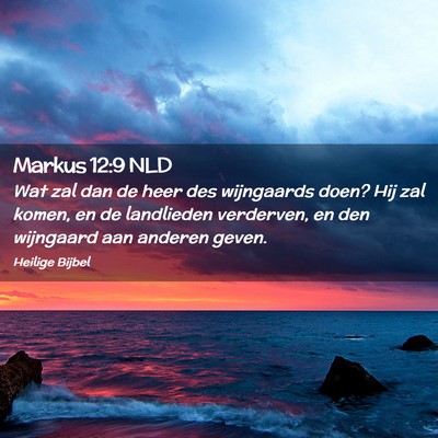 Picture 02 - Markus 12:9 NLD - Wat zal dan de heer des wijngaards doen? Hij zal - Bible Verse Picture