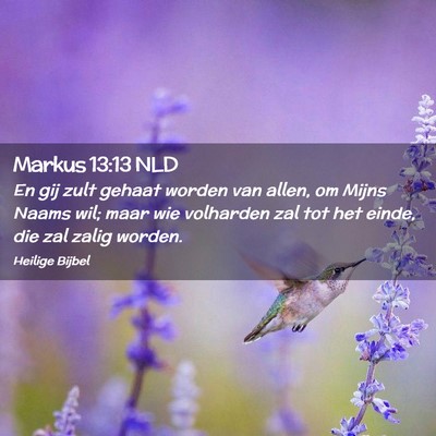 Picture 02 - Markus 13:13 NLD - En gij zult gehaat worden van allen, om Mijns - Bible Verse Picture