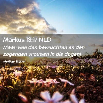 Picture 02 - Markus 13:17 NLD - Maar wee den bevruchten en den zogenden vrouwen - Bible Verse Picture