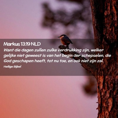 Picture 02 - Markus 13:19 NLD - Want die dagen zullen zulke verdrukking zijn, - Bible Verse Picture