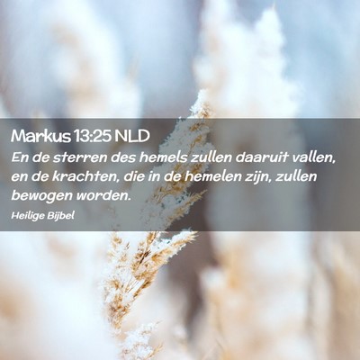 Picture 02 - Markus 13:25 NLD - En de sterren des hemels zullen daaruit vallen, - Bible Verse Picture