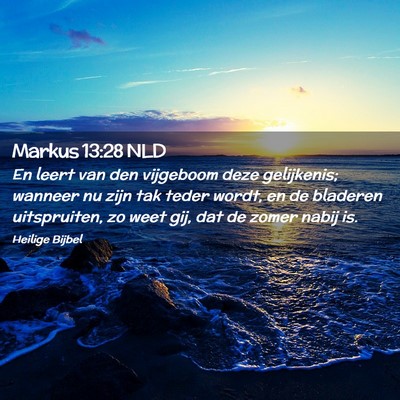 Picture 02 - Markus 13:28 NLD - En leert van den vijgeboom deze gelijkenis; - Bible Verse Picture