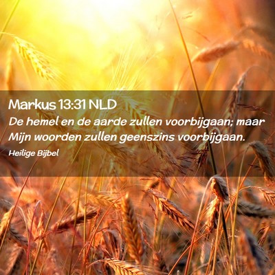 Picture 02 - Markus 13:31 NLD - De hemel en de aarde zullen voorbijgaan; maar - Bible Verse Picture