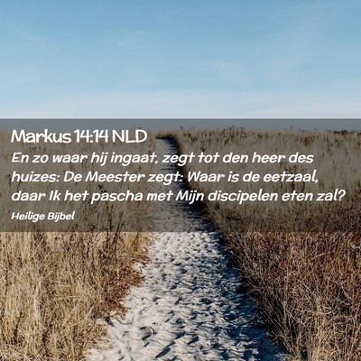 Picture 02 - Markus 14:14 NLD - En zo waar hij ingaat, zegt tot den heer des - Bible Verse Picture