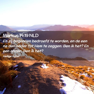 Picture 02 - Markus 14:19 NLD - En zij begonnen bedroefd te worden, en de een na - Bible Verse Picture