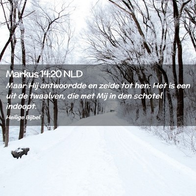 Picture 02 - Markus 14:20 NLD - Maar Hij antwoordde en zeide tot hen: Het is een - Bible Verse Picture