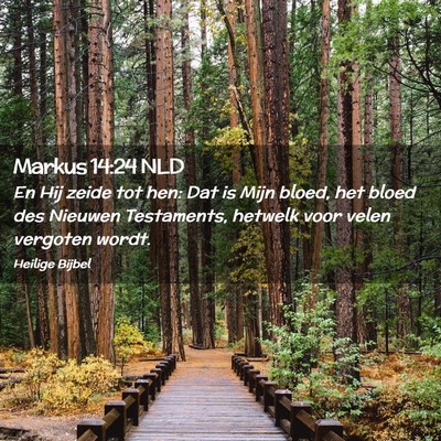 Picture 02 - Markus 14:24 NLD - En Hij zeide tot hen: Dat is Mijn bloed, het - Bible Verse Picture