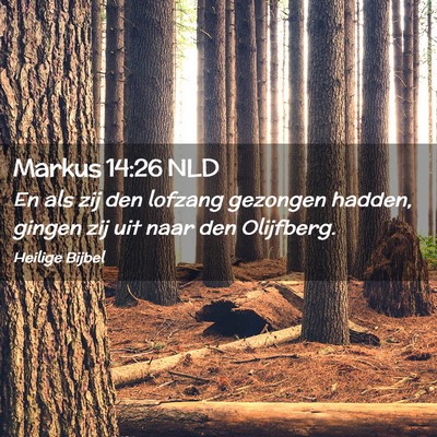 Picture 02 - Markus 14:26 NLD - En als zij den lofzang gezongen hadden, gingen - Bible Verse Picture