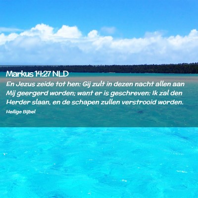 Picture 02 - Markus 14:27 NLD - En Jezus zeide tot hen: Gij zult in dezen nacht - Bible Verse Picture