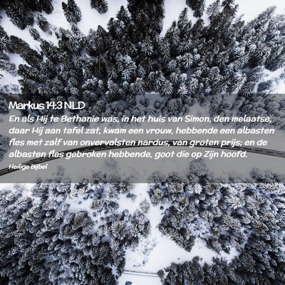Picture 02 - Markus 14:3 NLD - En als Hij te Bethanie was, in het huis van - Bible Verse Picture
