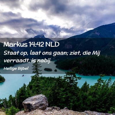 Picture 02 - Markus 14:42 NLD - Staat op, laat ons gaan; ziet, die Mij verraadt, - Bible Verse Picture