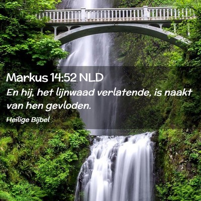 Picture 02 - Markus 14:52 NLD - En hij, het lijnwaad verlatende, is naakt van hen - Bible Verse Picture