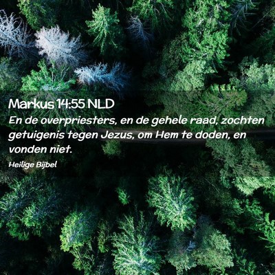 Picture 02 - Markus 14:55 NLD - En de overpriesters, en de gehele raad, zochten - Bible Verse Picture