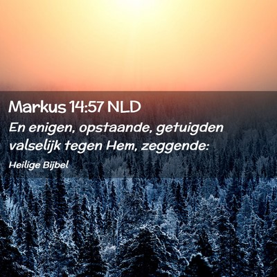 Picture 02 - Markus 14:57 NLD - En enigen, opstaande, getuigden valselijk tegen - Bible Verse Picture