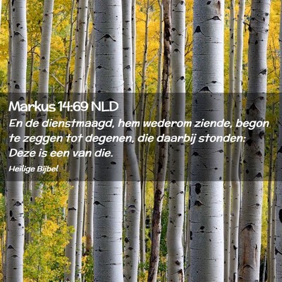 Picture 02 - Markus 14:69 NLD - En de dienstmaagd, hem wederom ziende, begon te - Bible Verse Picture